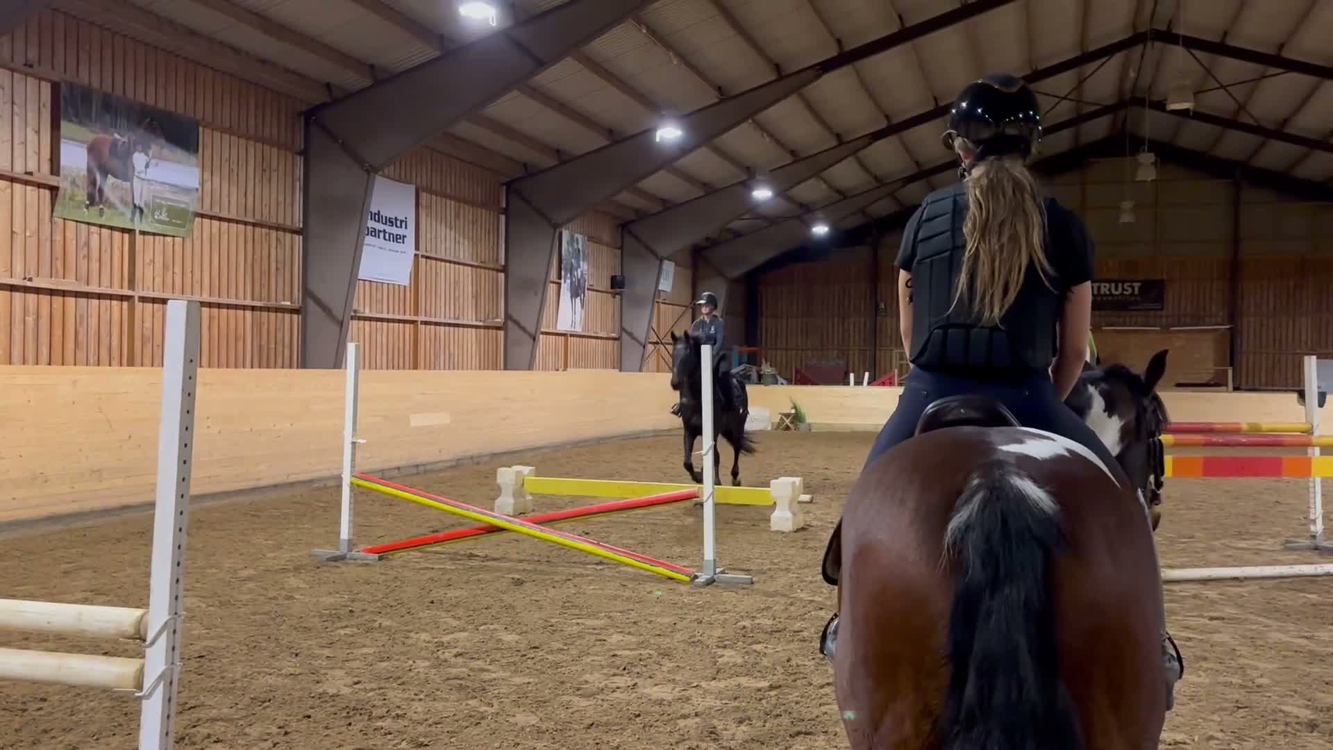 Allround hästar till salu: Underbar häst med största hjärtat!🌸 - Video 1