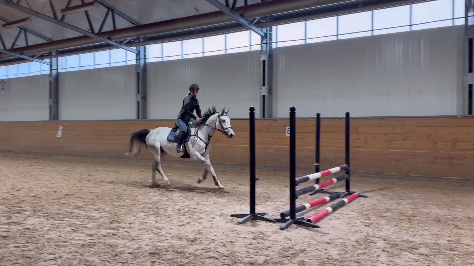 Hoppning hästar till salu: Trevlig valack  i Åtvidaberg - Video 1