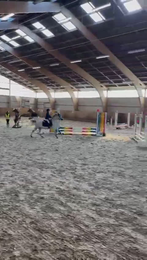 Hoppning hästar till salu: Kvalitetsponny  i Vellinge - Video 1