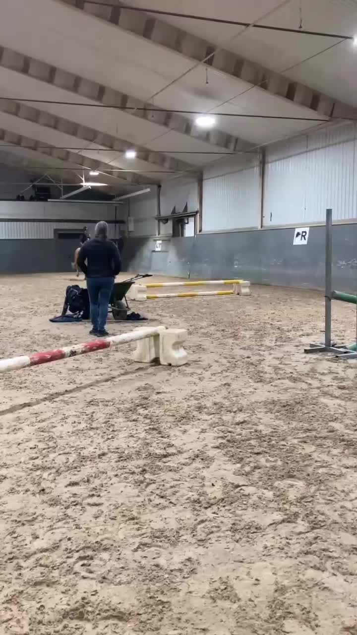 Hoppning hästar till salu: Blixten pigg och hoppglad ponny  🐴❤️ - Video 1