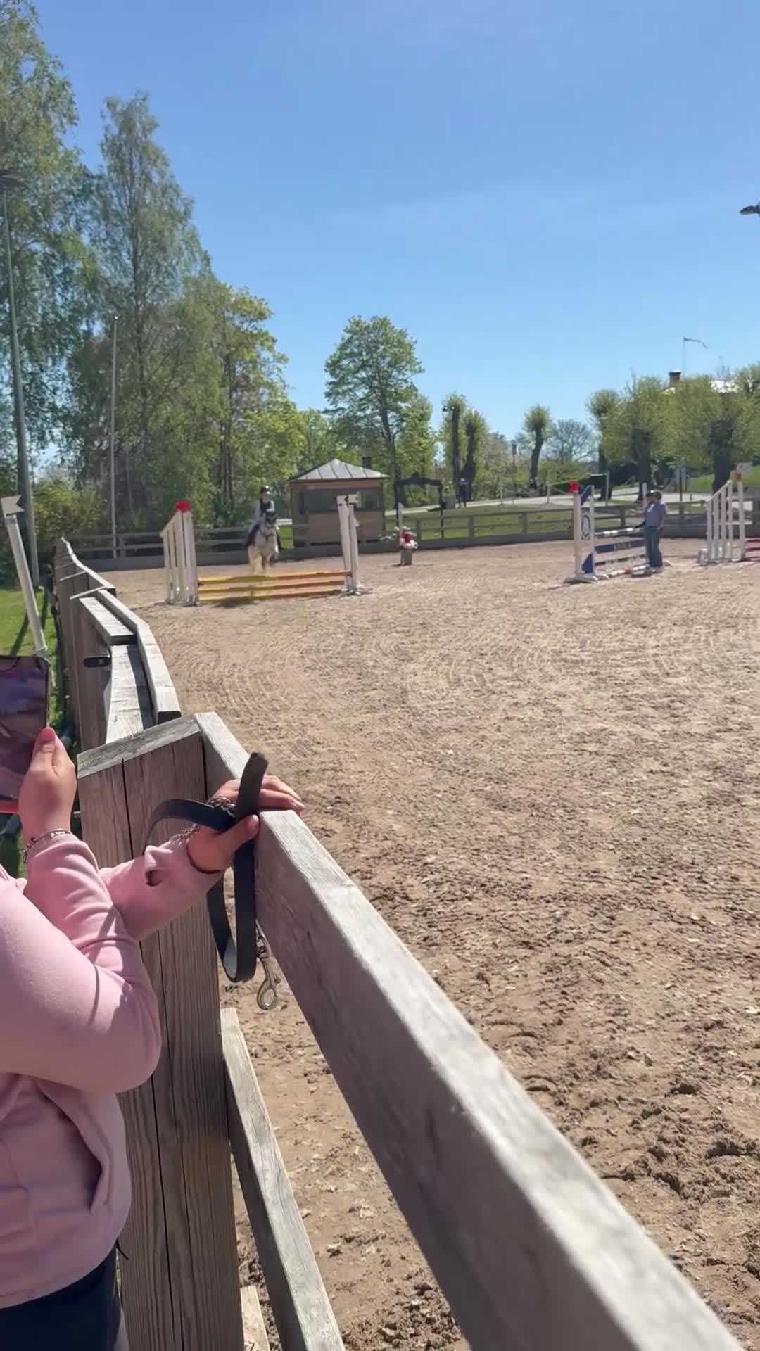 Allround hästar till salu: Tiara – ponnyn som gjorde vår lilla ryttare stor - Video 1