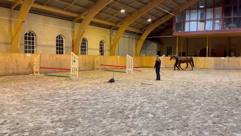 Hoppning hästar till salu: Lovande svenskfött sto med framtidspotential ✨ - Video 2