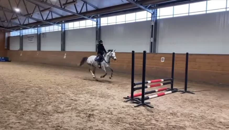 Hoppning hästar till salu: Trevligt sto i Åtvidaberg - Video 1