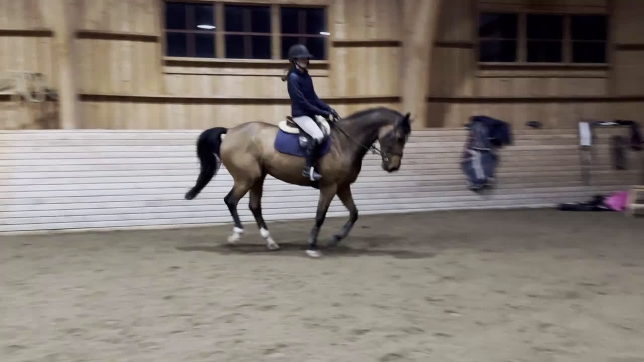 Allround hästar till salu: Välstammad o snygg allround inriktning hoppning i Stallarholmen - Video 4