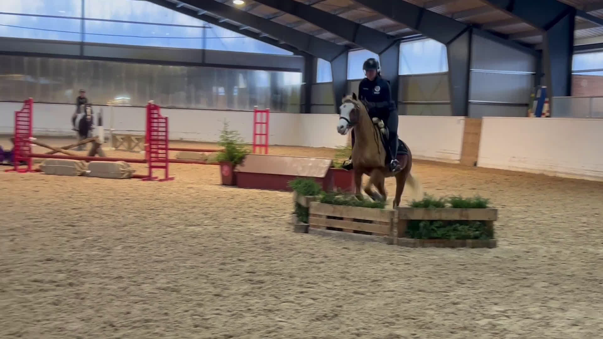 Allround hästar till salu: Guldponnyn Arhults Amazon - Video 4