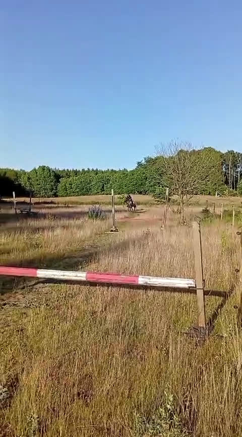 Allround hästar till salu: Tävlingsponny i startgropen i Gärsnäs - Video 5