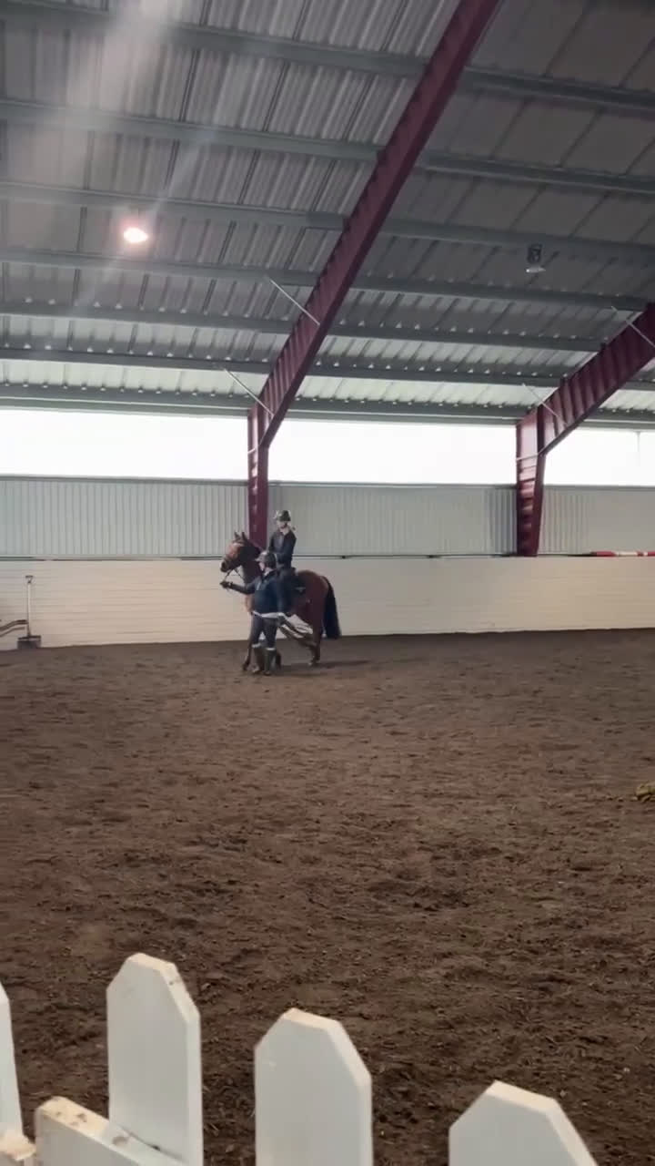 Allround hästar till salu: Härlig kille med framtiden för sig  i Karlstad - Video 4