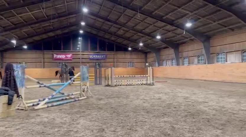 Allround hästar till salu: Hoppstjärna för dig med tid och engagemang - Video 1