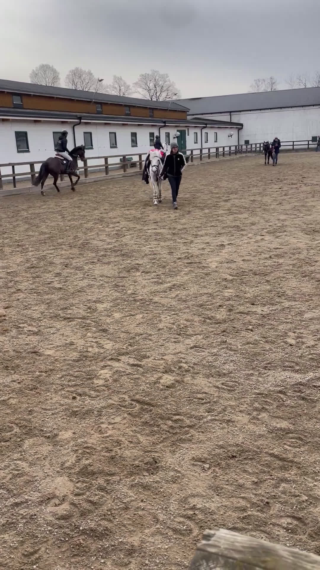 Hoppning hästar till salu: Sportponny med toppstam - Video 3