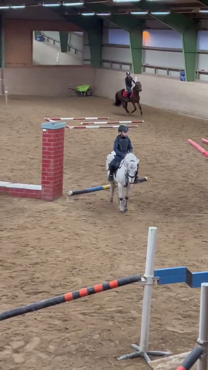 Allround hästar till salu: Vacker Maxad Allround B-ponny - Video 3