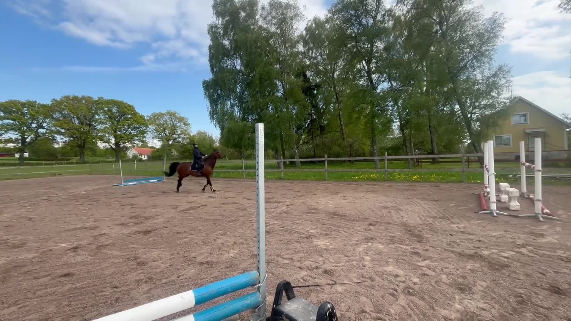 Allround hästar till salu: Hoppglatt Sto 13 år - Video 3