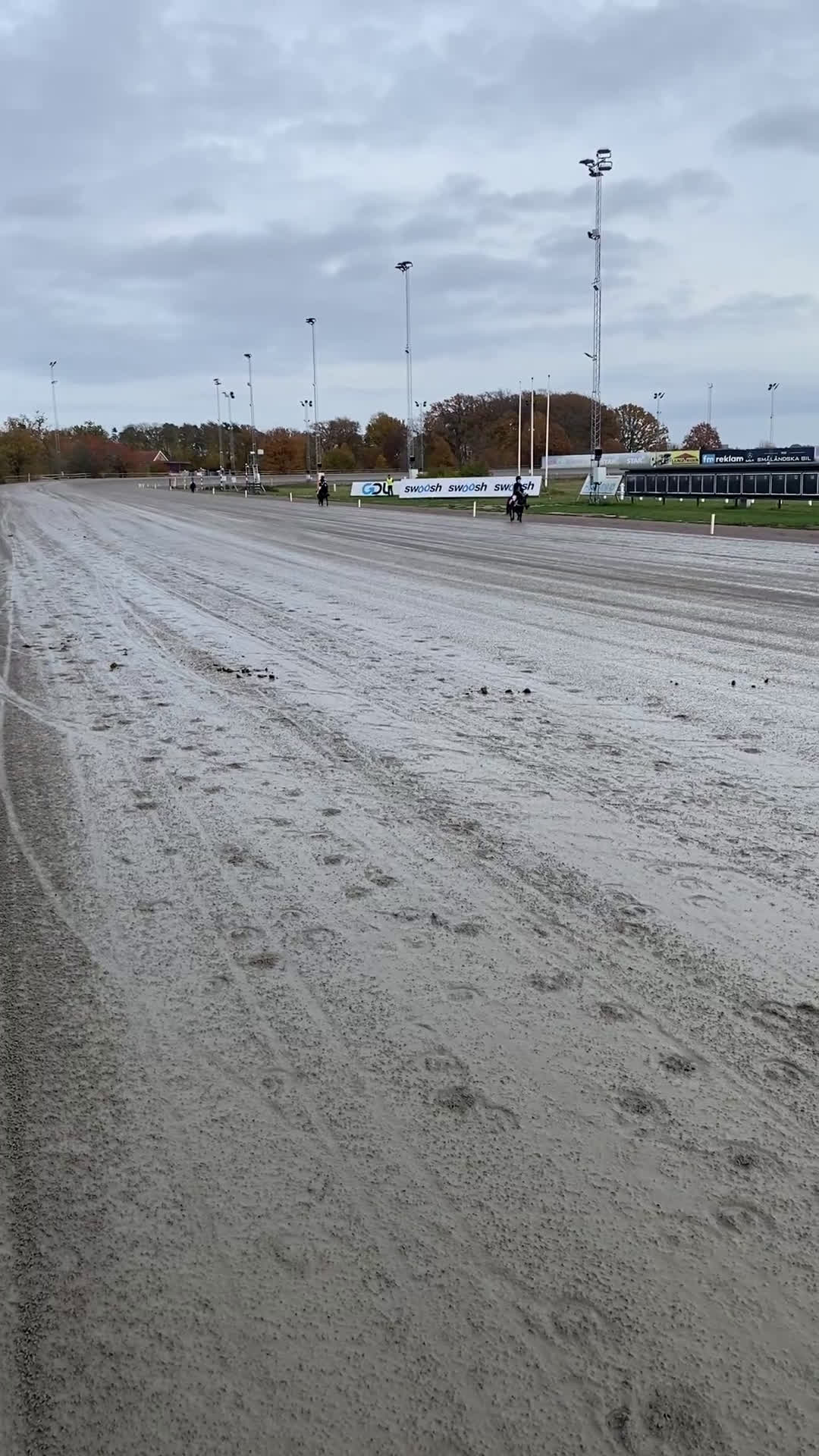 Trav hästar till salu: Läromästare  i Nybro - Video 1