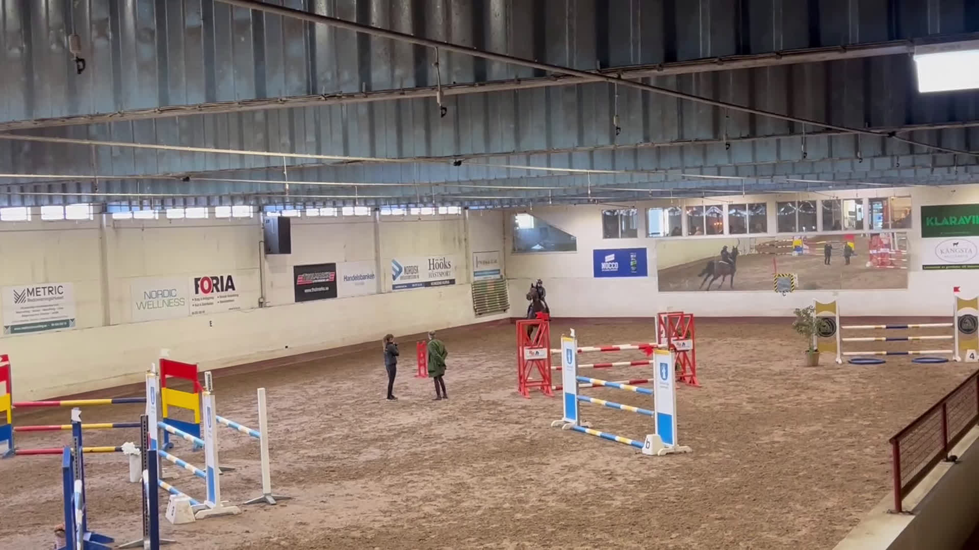 Allround hästar till salu: Lyxig hobby-häst med mycket power och utstrålning  - Video 1