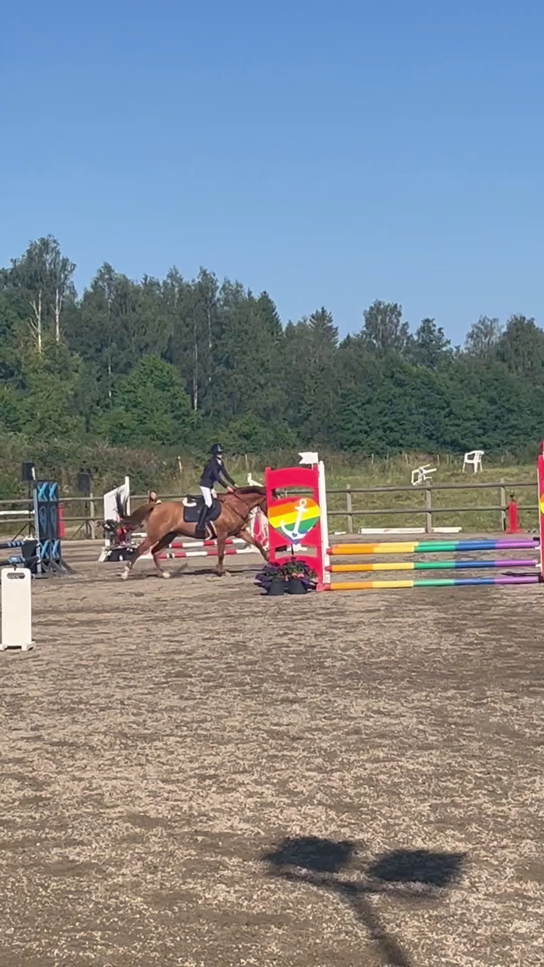 Hoppning hästar till salu: Maxad D-ponny - Video 2