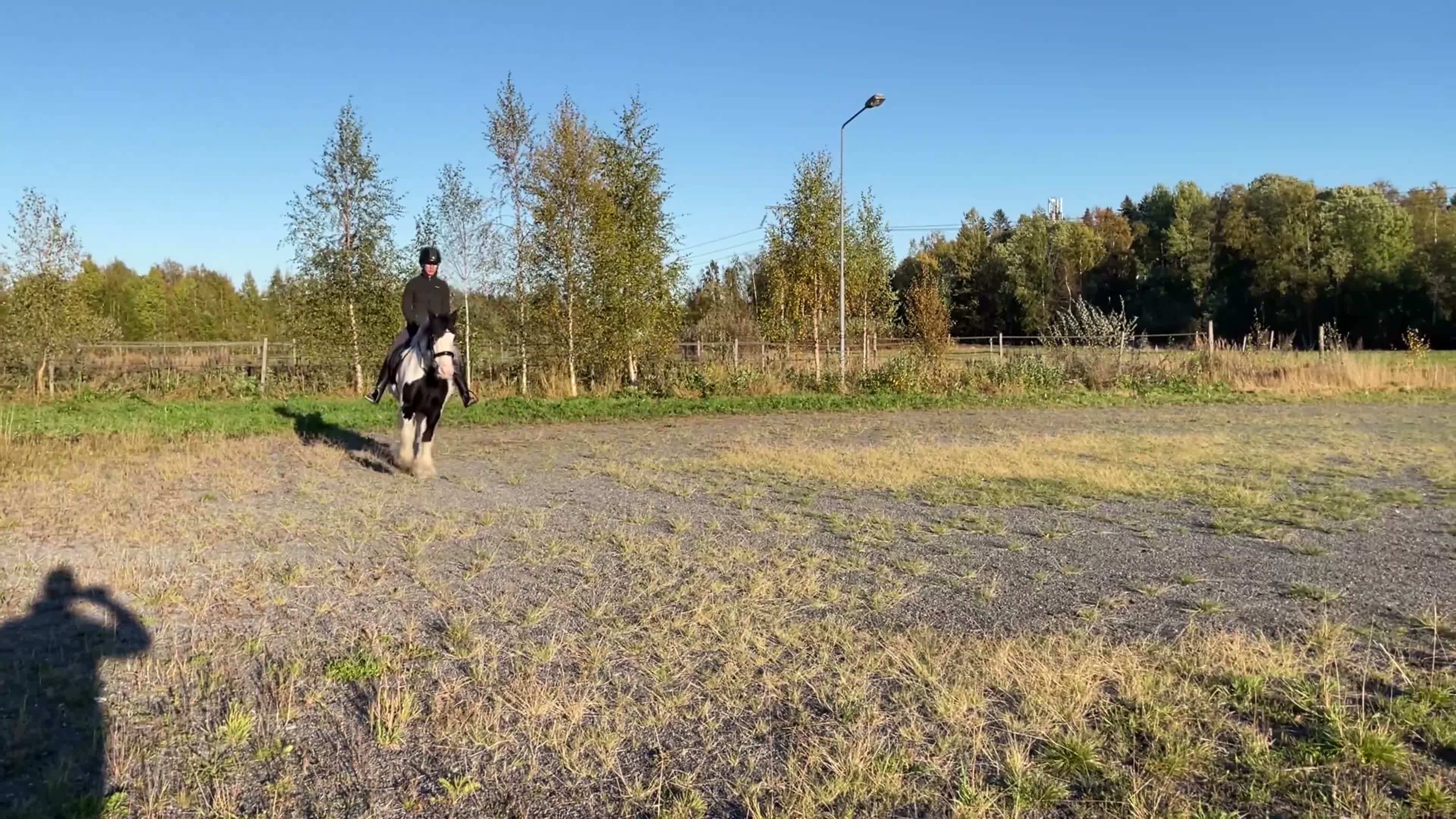 Allround hästar till salu: Fantastisk tinkerponny - Video 1