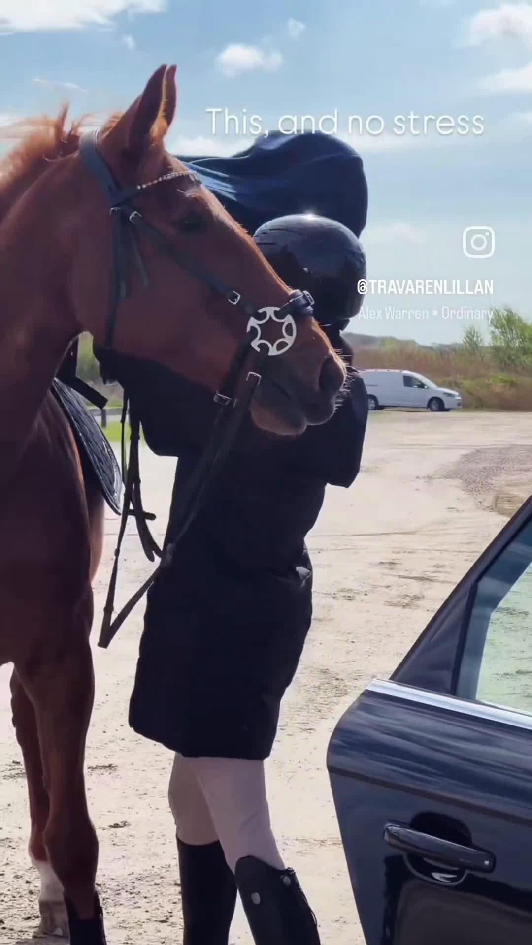 Allround hästar till salu: Lyxig ridtravare - Video 3