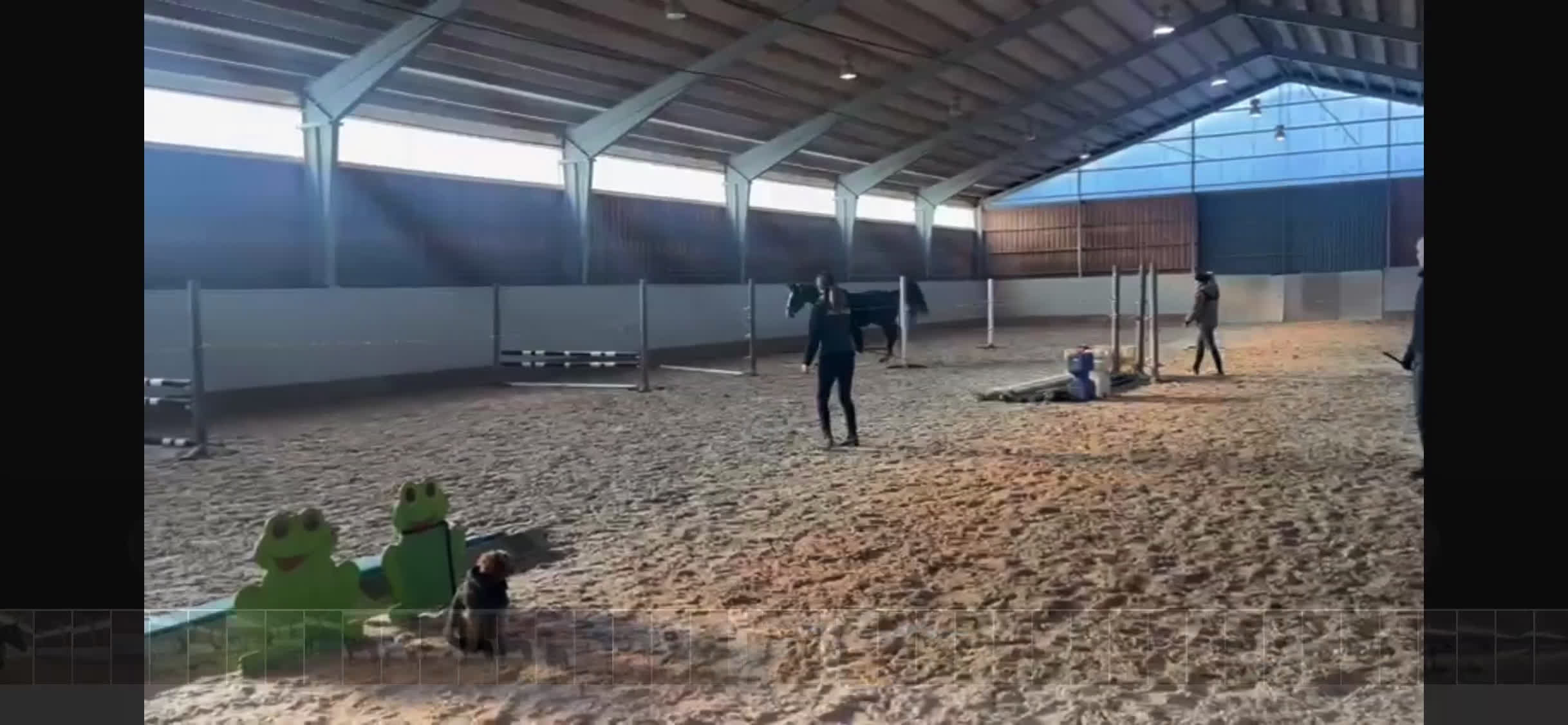 Hoppning hästar till salu: Snygg hopphäst med mkt prestation  i Hjo - Video 2