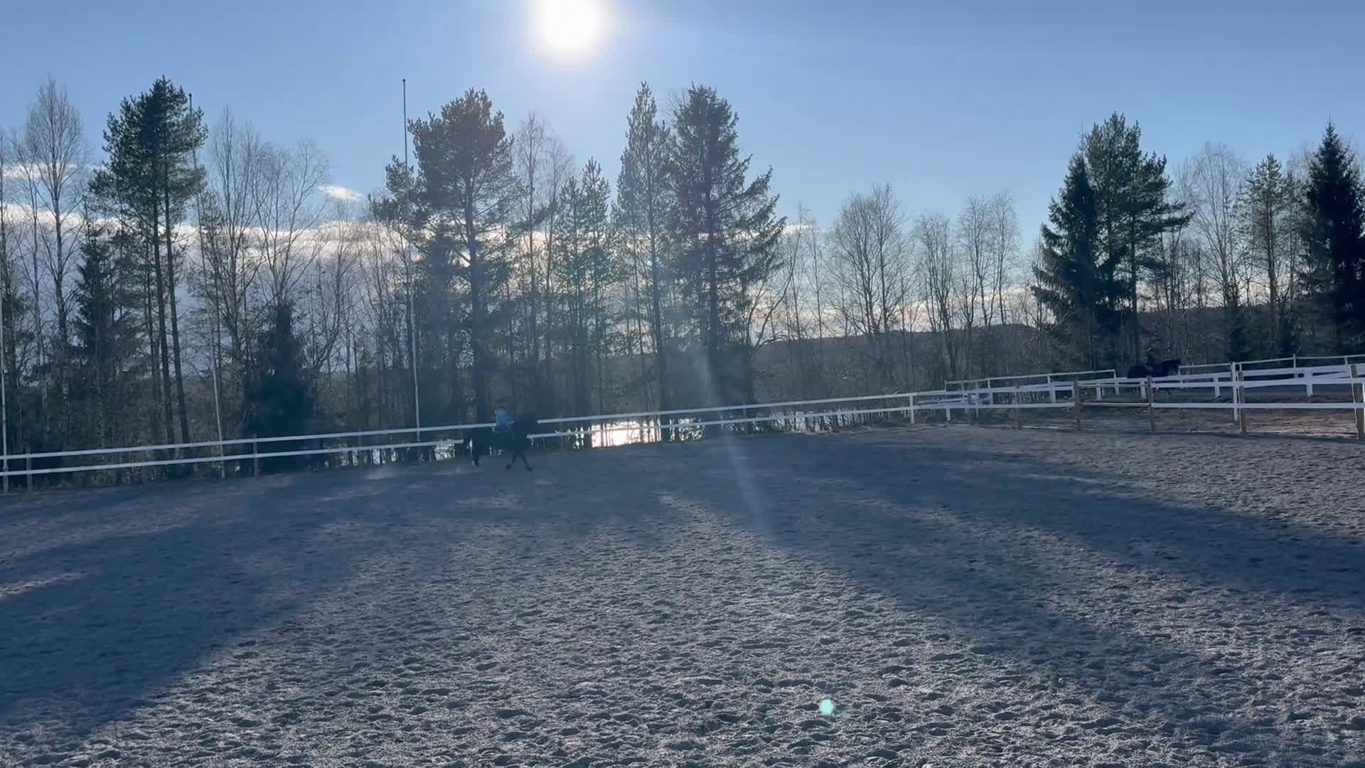 Allround hästar till salu: Maxad c-ponny  i Lycksele - Video 1