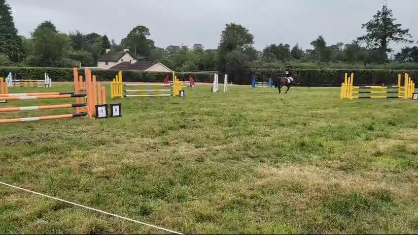 Fälttävlan hästar till salu: Searching for an Event Pony? i Brøndby - Video 4