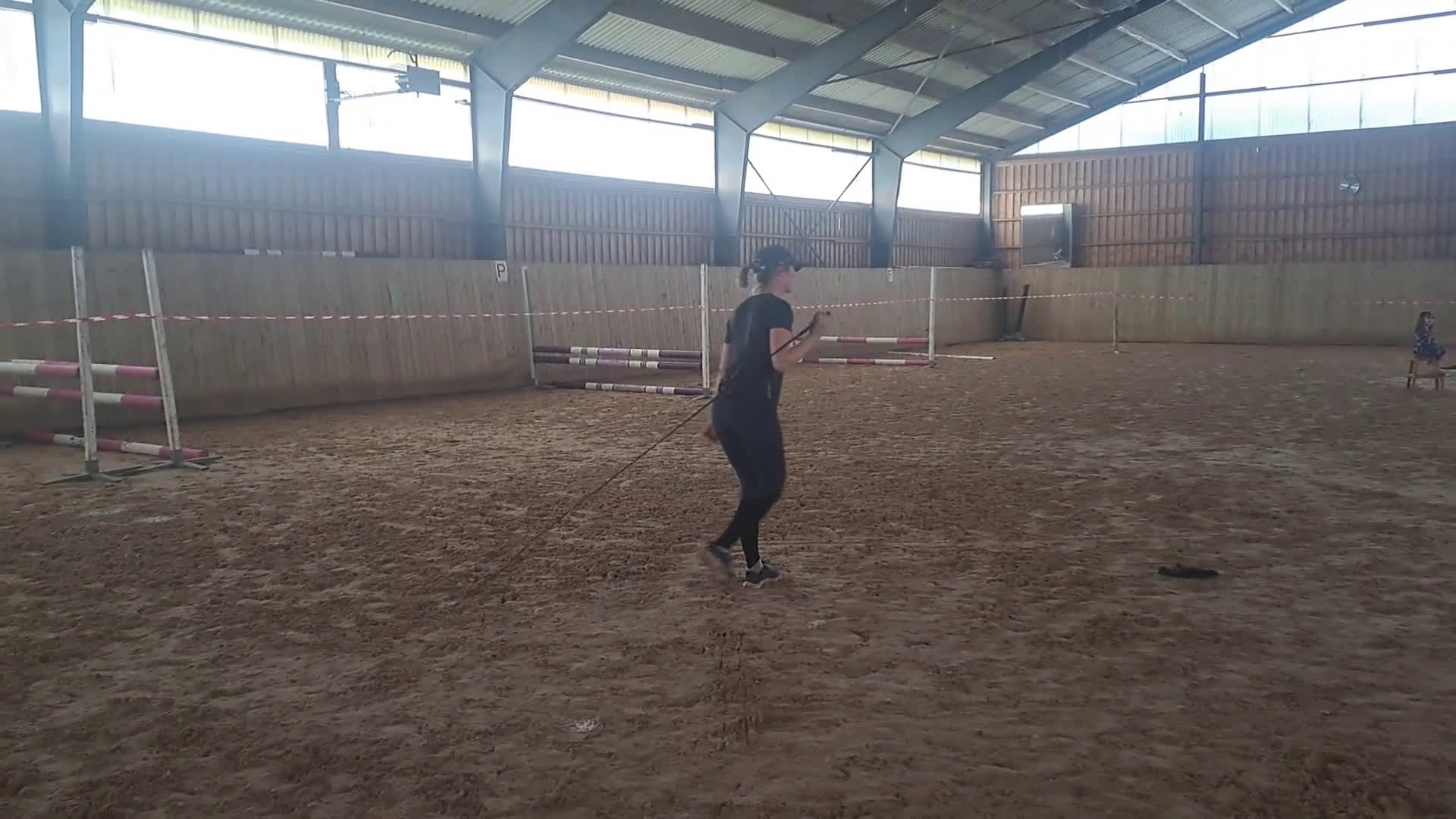 Hoppning hästar till salu: Unghingst i Hörby - Video 1