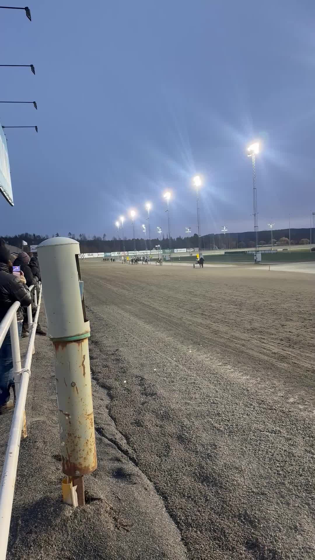 Trav hästar till salu: Perfekta tävlingsponnyn! i Umeå - Video 2