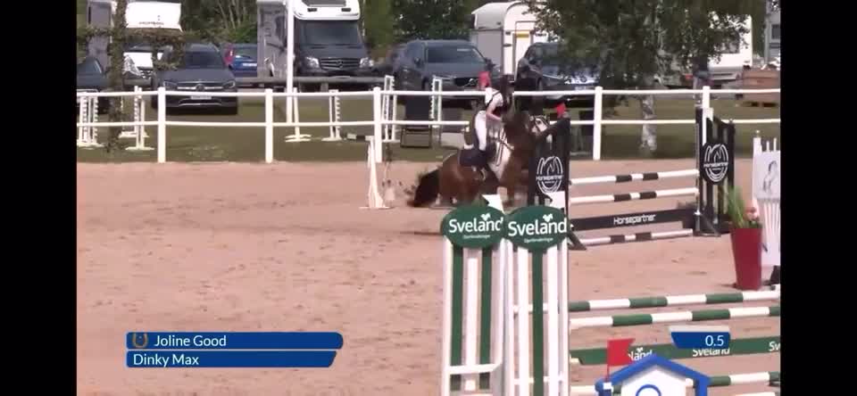 Hoppning hästar till salu: Tävlingsponny med hjärta av guld 💛  - Video 2