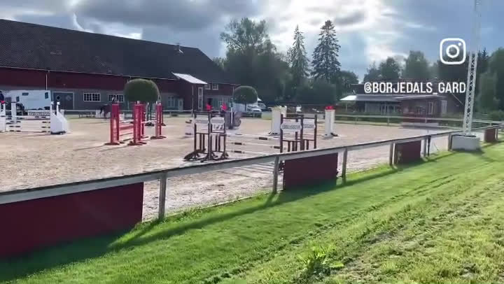 Hoppning hästar till salu: Fantastiskt fin tävlingshäst lättriden med scop - Video 1