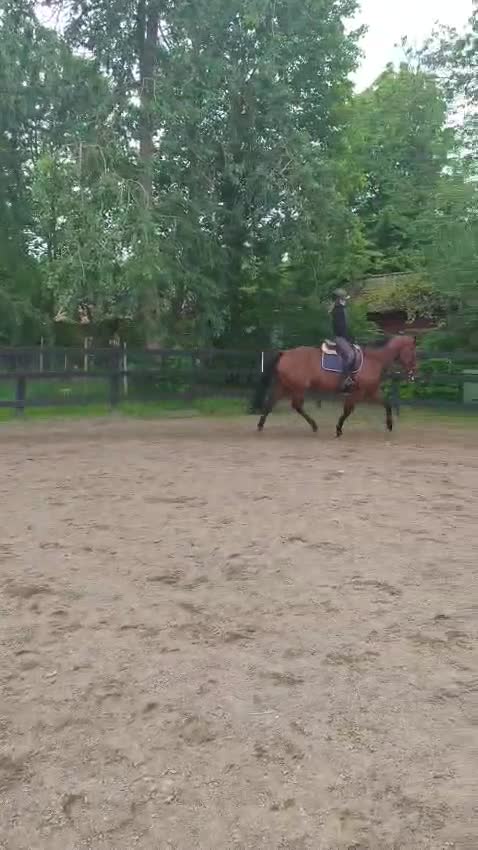 Allround hästar sökes: Betalande medryttare finnes i Linköping! - Video 3