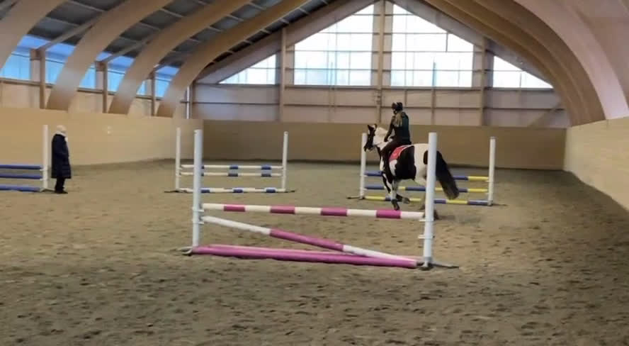  medryttarhäst sökes: Söker en kompis att utvecklas med!😍 - Video 3