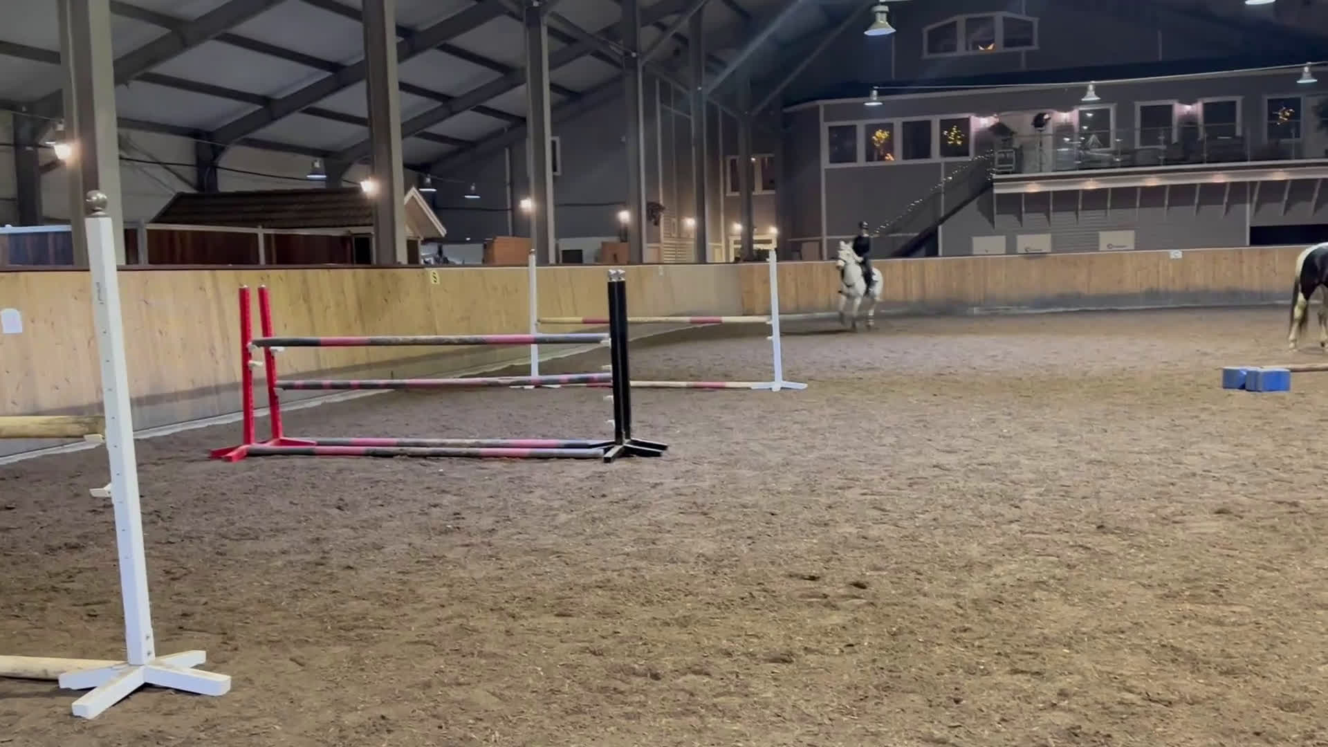 Hoppning hästar till salu: Tävlingsponny och bästa vän  i Norrköping - Video 3