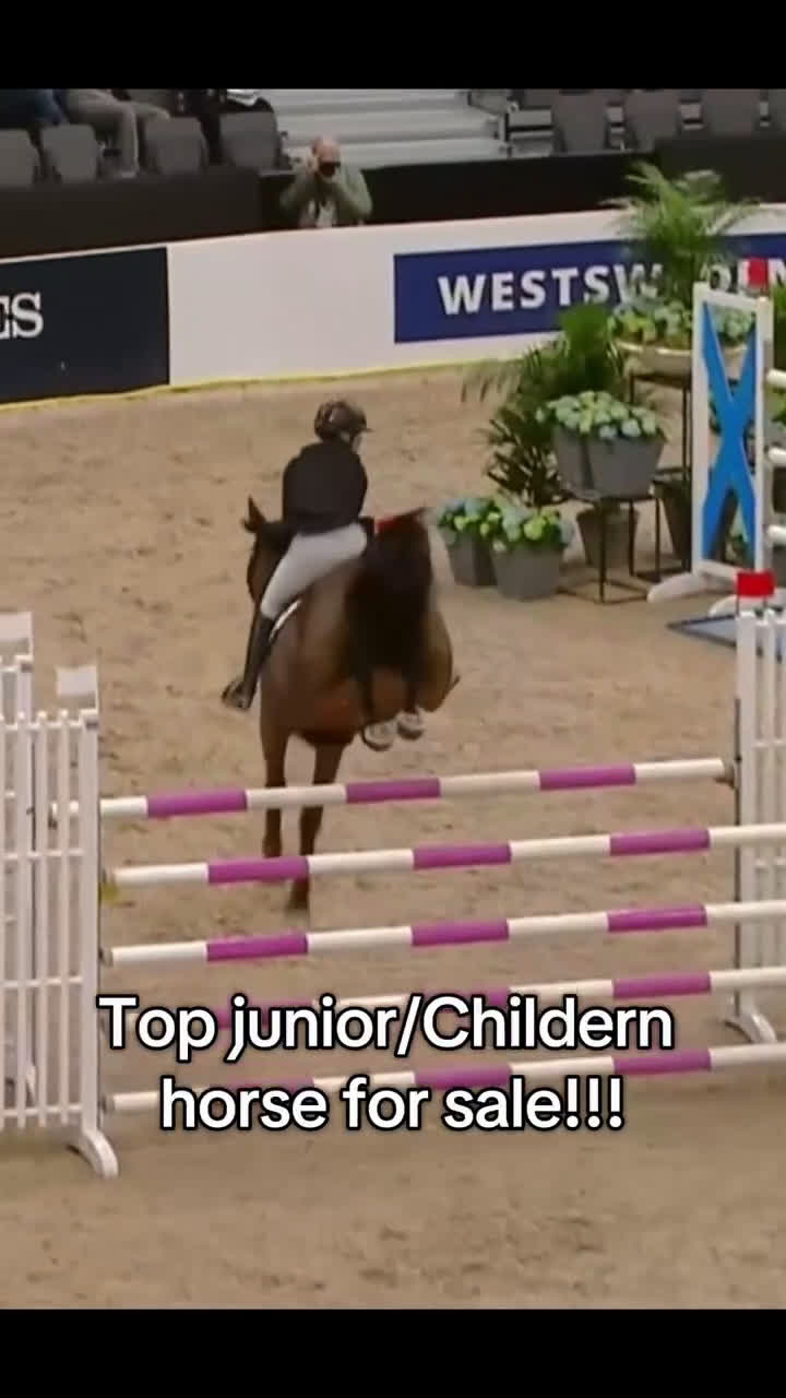 Hoppning hästar till salu: Topphäst Children/Junior Prissänkt! i Västra Frölunda - Video 4