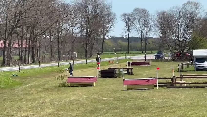 Fälttävlan hästar till salu: Fantastisk fälltävlingshast sælges✨ i Dronninglund - Video 3