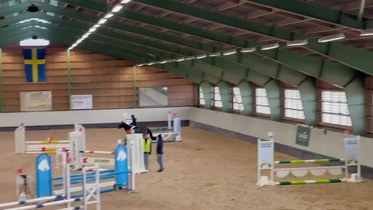 Hoppning hästar till salu: En fantastisk c ponny i Löddeköpinge - Video 1