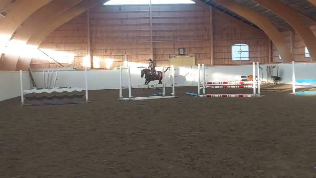 Hoppning hästar till salu: Häst som kan nå så långt du vill!! - Video 1