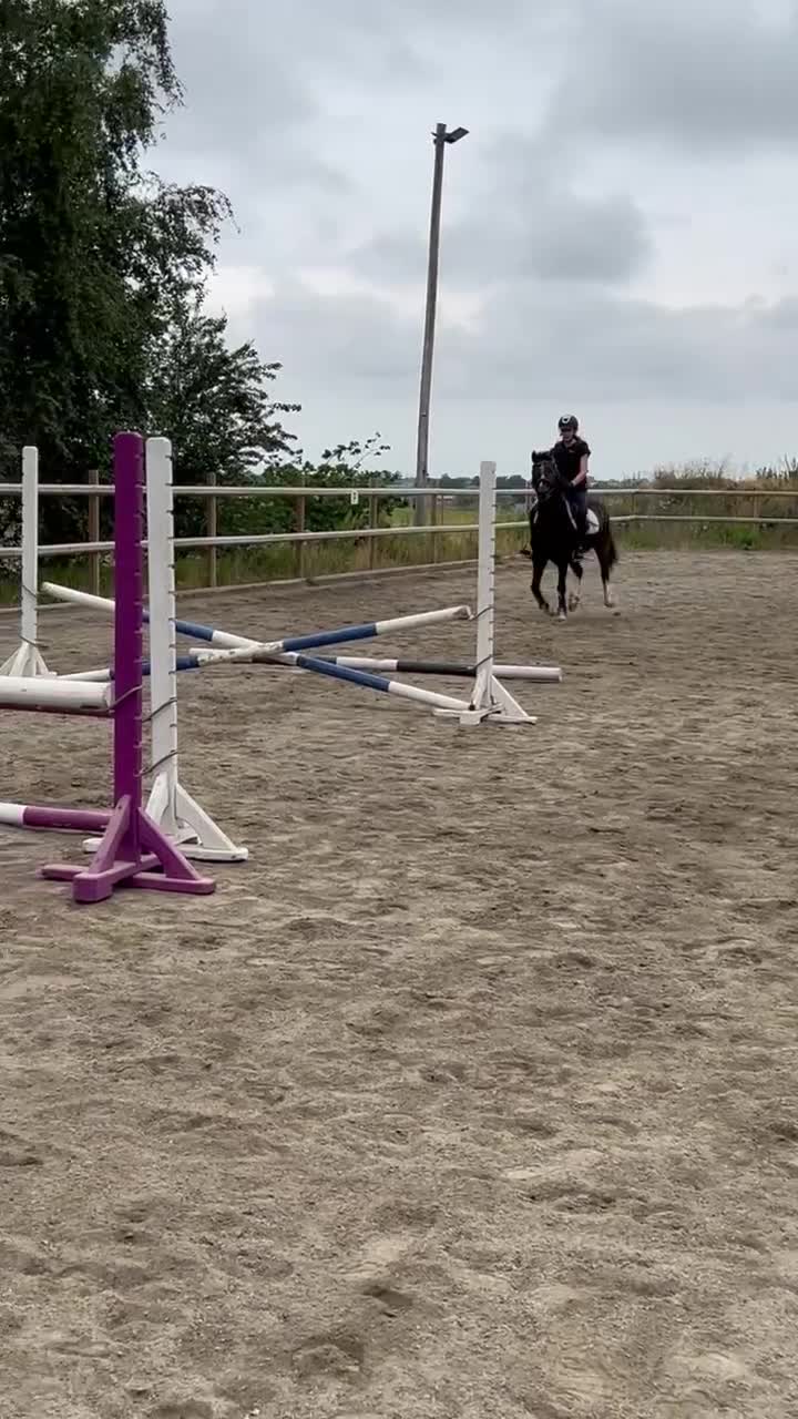 Allround hästar till salu: Fin maxad B-ponny - Video 3