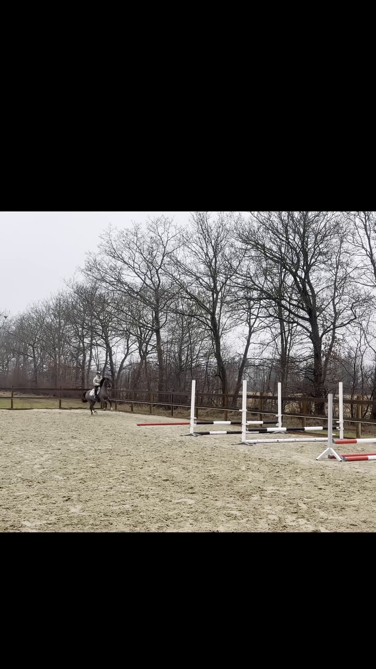 Hoppning hästar till salu: Yndig kat. 2 pony med kapacitet  - Video 1