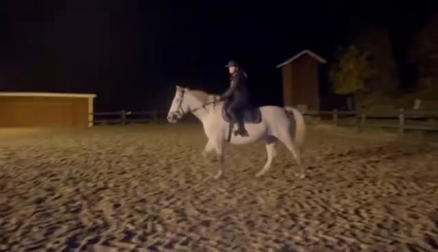  foderhäst finnes: Hobbysto söker fodervärd i Norrköping - Video 2