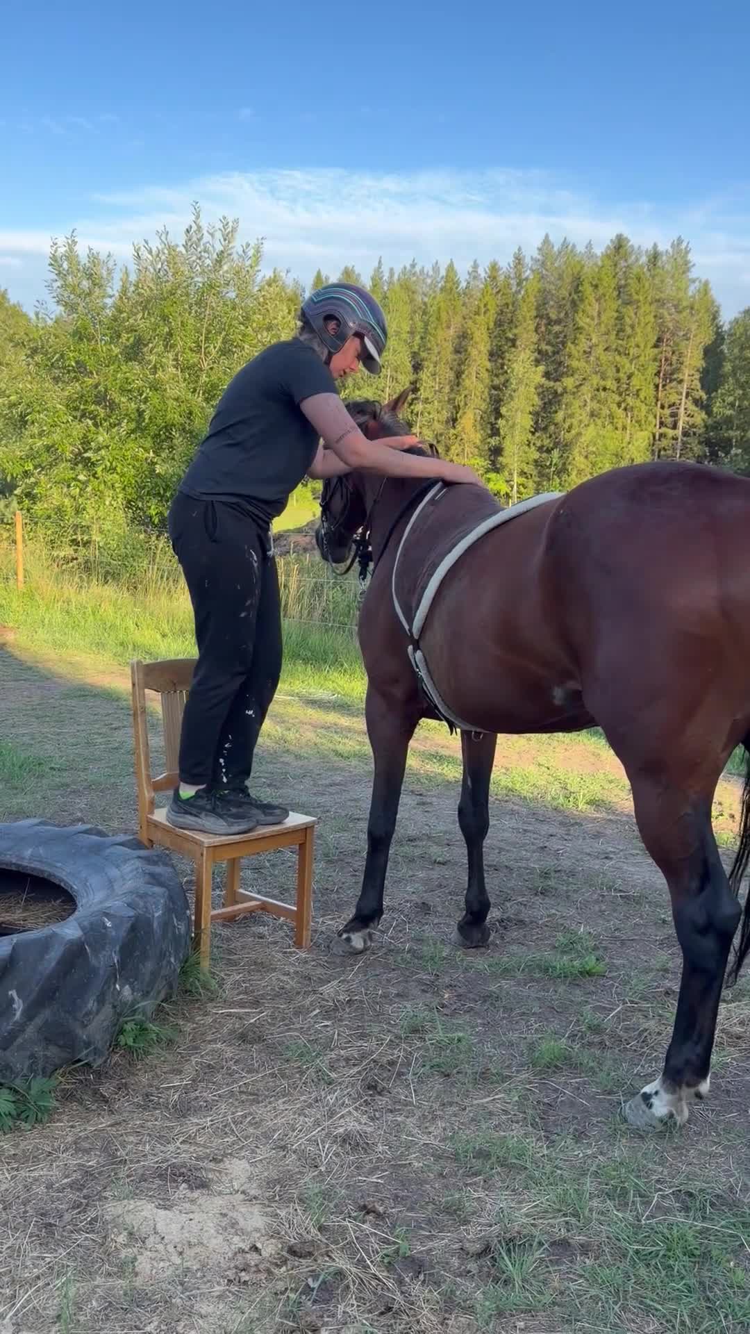 Allround hästar till salu: Gloria vill bli ridhäst - Video 2