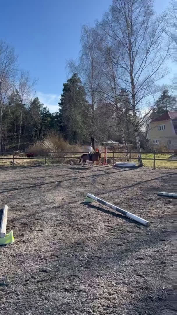 Dressyr hästar till salu: Vacker dressyrponny  i Färentuna - Video 1