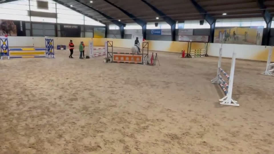 Hoppning hästar till salu: Världens bästa tävlingskompis - Video 1