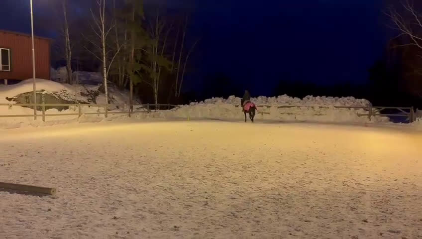  medryttarhäst sökes: Letar du medryttare eller betalande elev? - Video 2