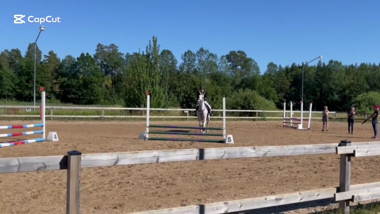 Allround hästar sökes: Söker foderhäst som vill tävlas för senare köp - Video 3