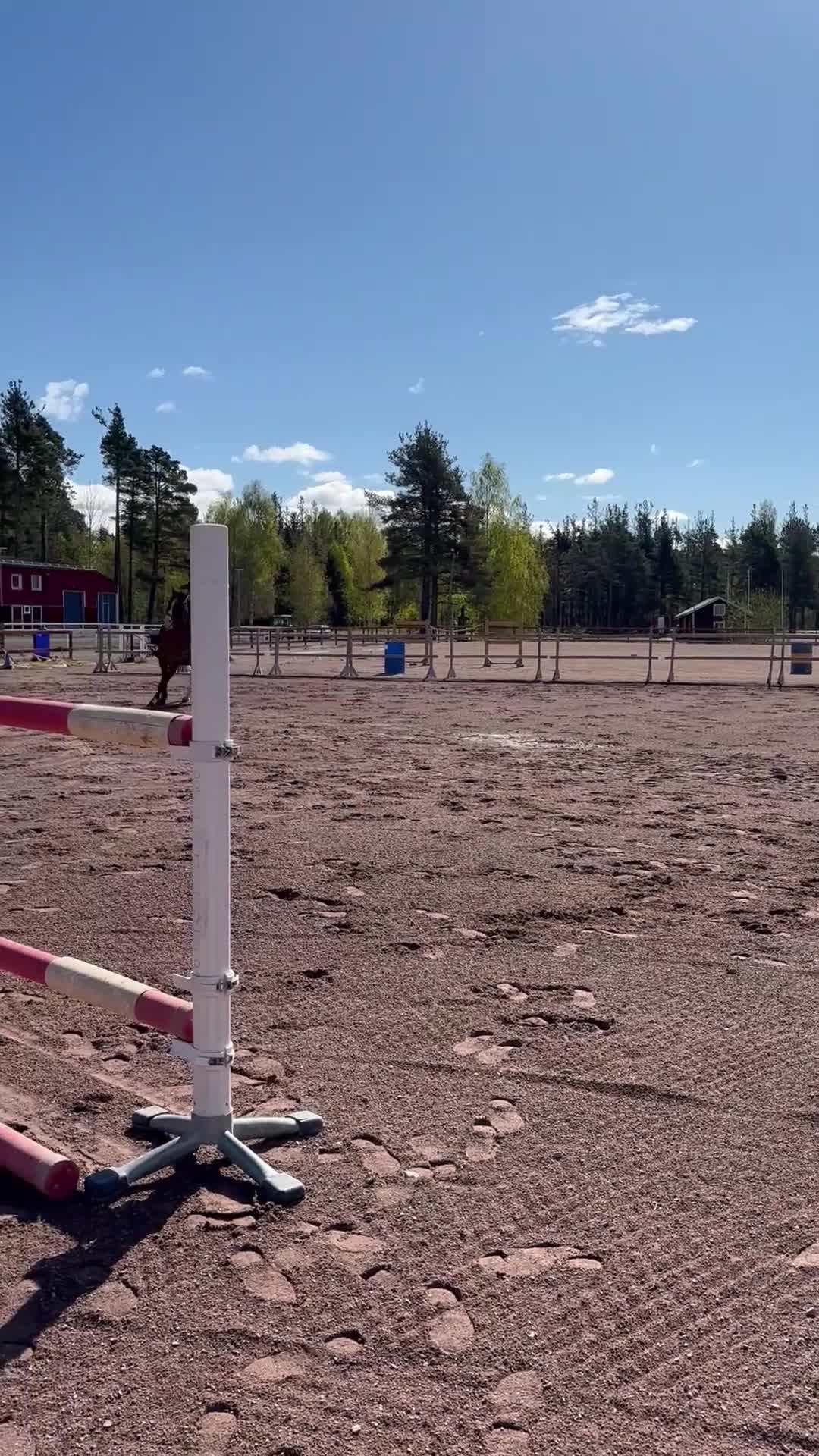 Hoppning hästar till salu: Trevlig 7 åring säljes  - Video 2