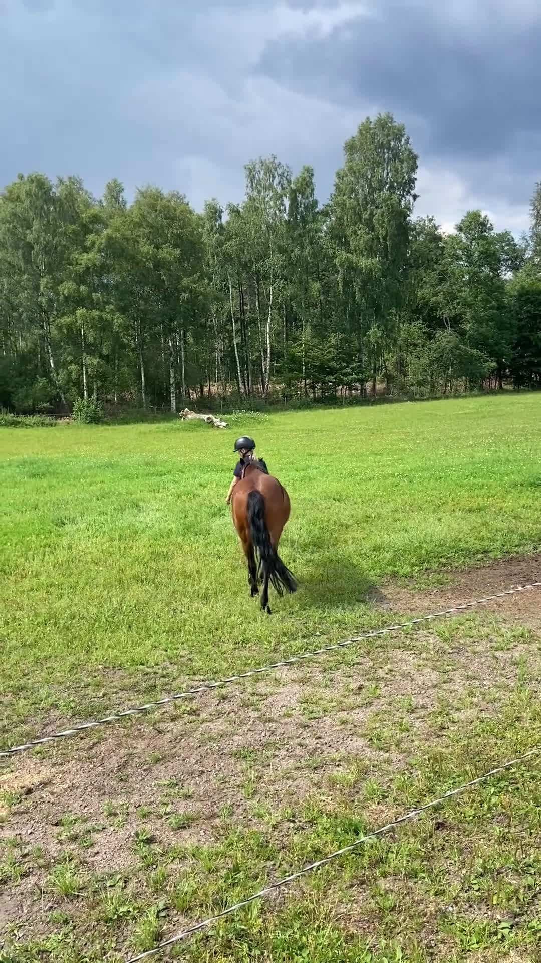 Allround hästar till salu: Sötaste Rocky ❤️ - Video 1