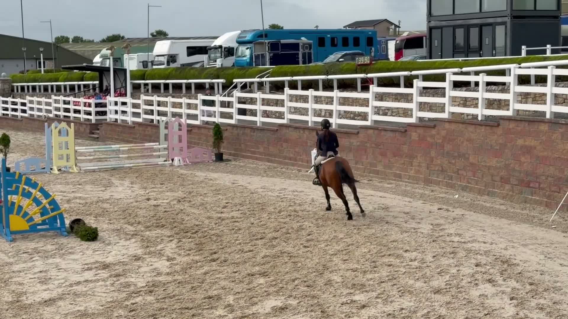 Allround hästar till salu: Trevligt sto för fortsatt utbildning  - Video 1