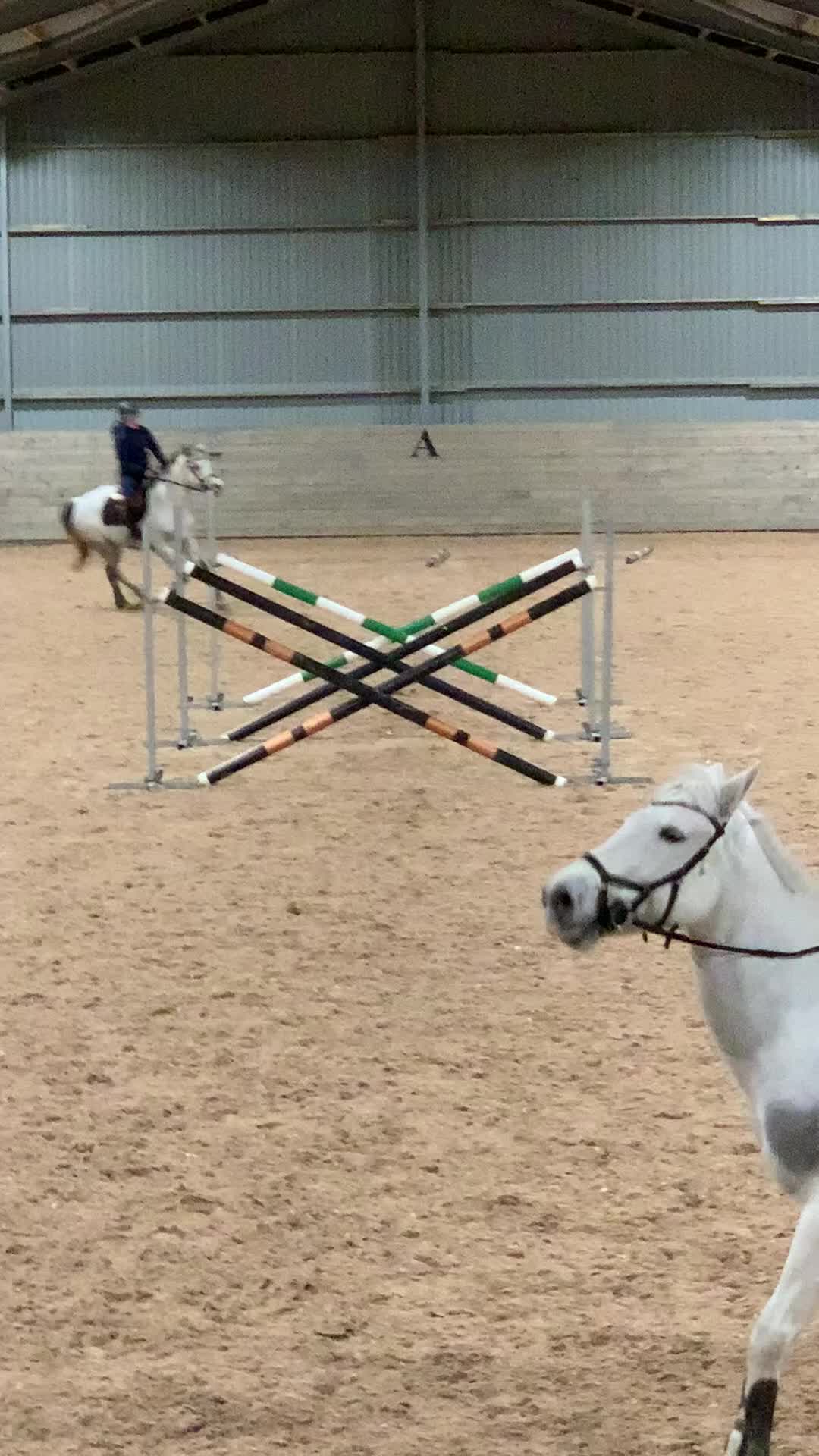Allround hästar till salu: Fancy maxad D-ponny perfekt för mor och dotter - Video 2