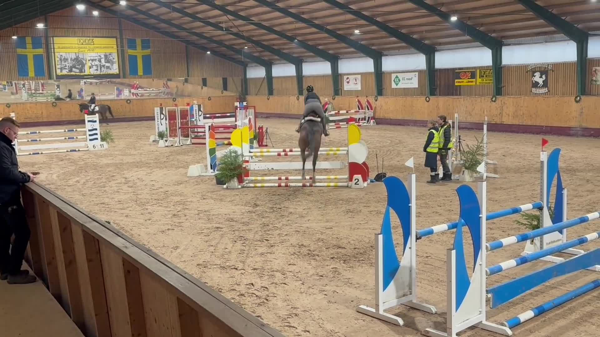 Allround hästar till salu: ⭐️DIN FRAMTIDA SJÄRNA OCH BÄSTA VÄN⭐️ - Video 3