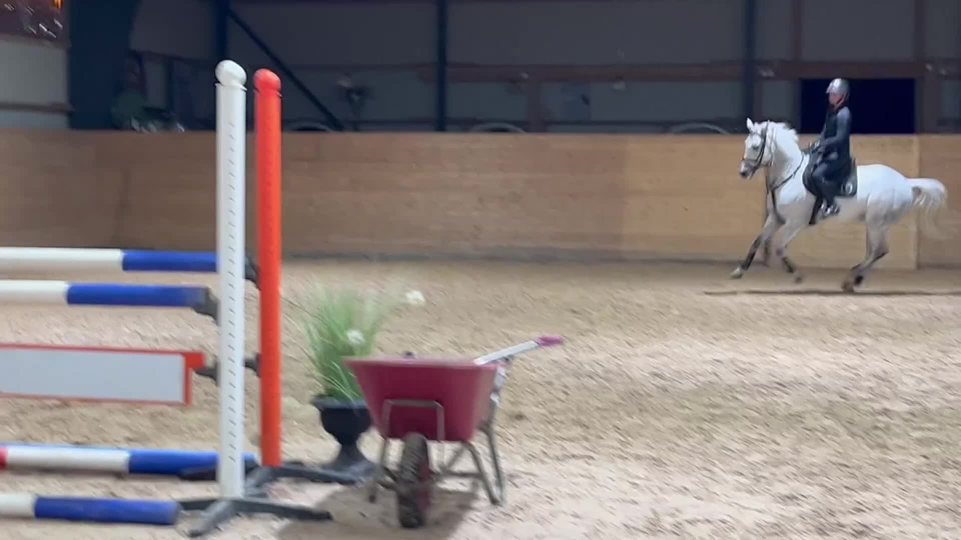 Allround hästar till salu: Fin tävlingsponny - Video 2