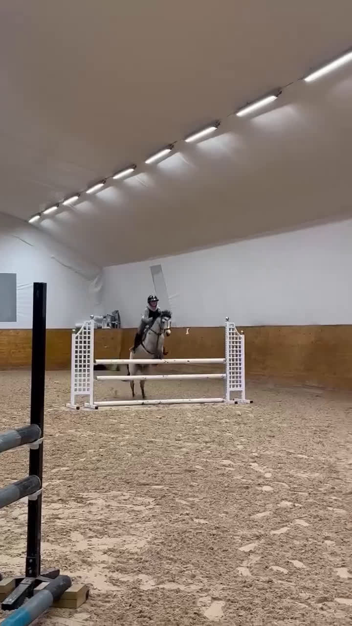 Allround hästar till salu: Superfin B-ponny  i Broddetorp - Video 5