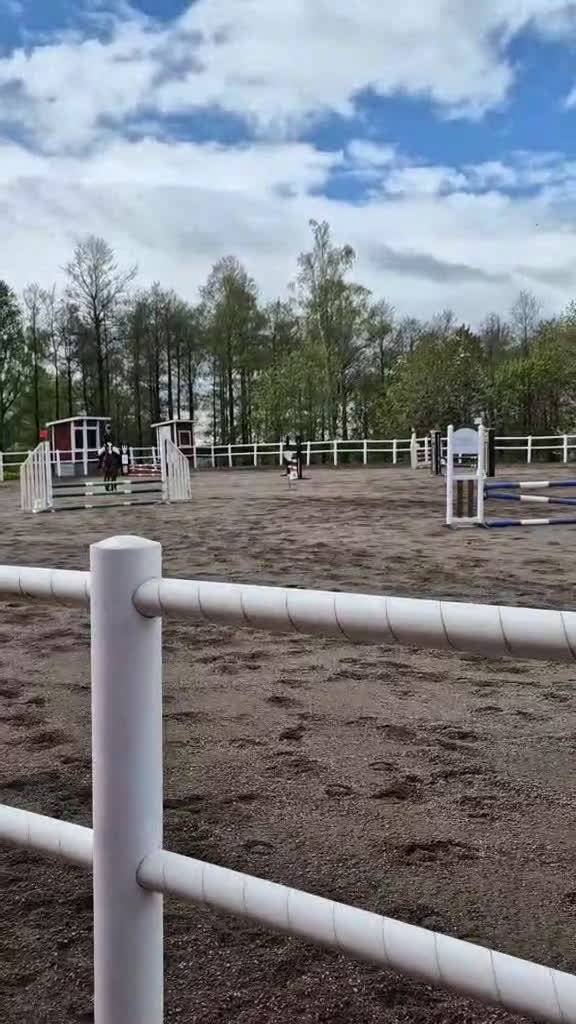 Allround hästar till salu: Läromästare och bästa vän i Tranås - Video 2